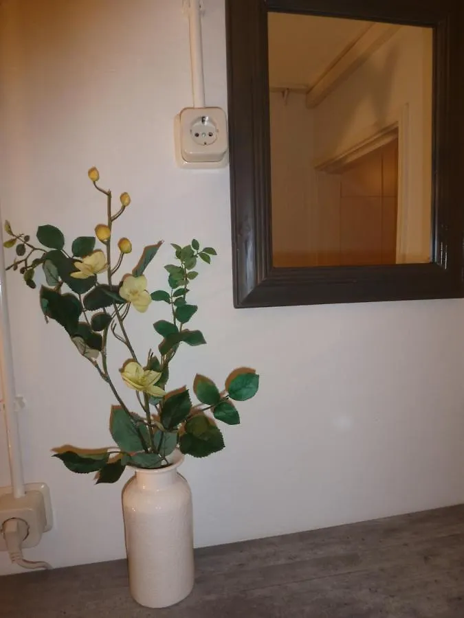 Holiday home Huis De Roos Villa De Kwakel